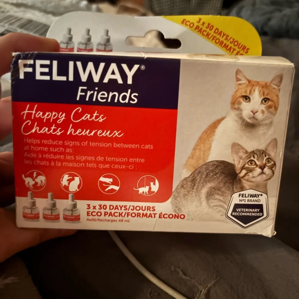 Friends Cat Diffuser Refill - Red - Picture 3 of 3